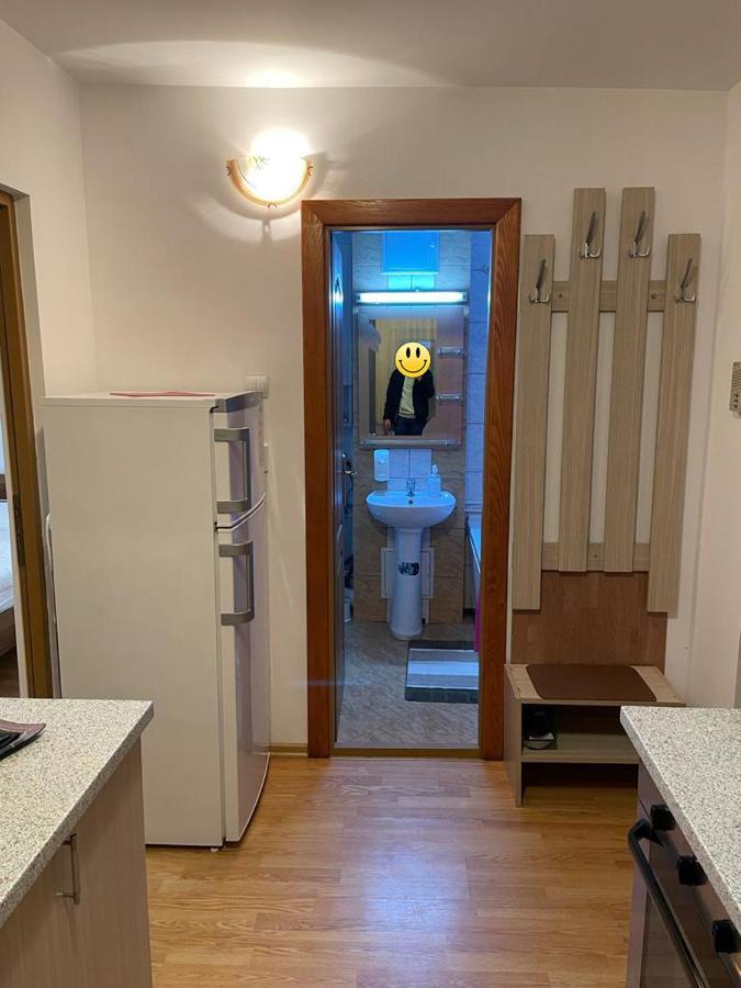 Urban Chic Apartment Orăştie Zewnętrze zdjęcie